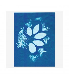 Hartie foto Solar® (21,5 x 28 cm) 10 coli - AstroMedia