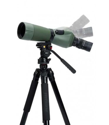 Luneta terestra Celestron Regal M2 65 ED