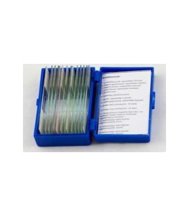 Set 15 preparate pentru microscop - Sangele si sistemul circulator