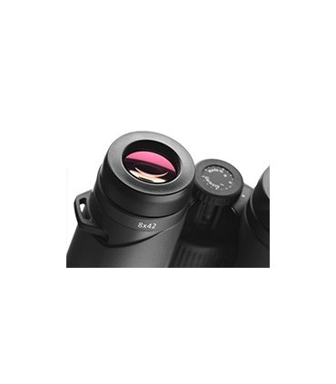 Binoclu Victory SF 8x42 Zeiss