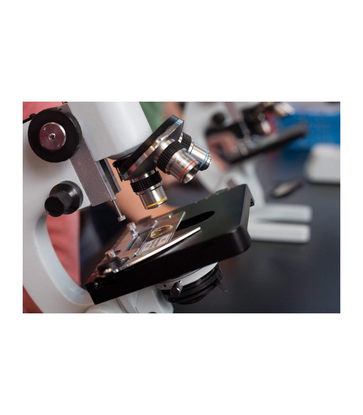Monday Thoughtful Registration Microscop biologic avansat 104 Celestron |Microscop scolar si de laborator