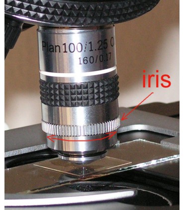 Obiectiv plan 100x, 160mm cu diafragma iris imersie in ulei pentru microscoape