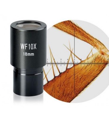 Ocular micrometric 10x bio pentru calibrare si masuratori Lacerta