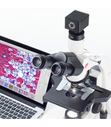 Camera CMOS Moticam S3 3MP USB 3.1 Motic